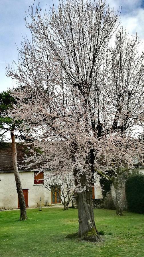 Francueil La Haute Traversiere المظهر الخارجي الصورة